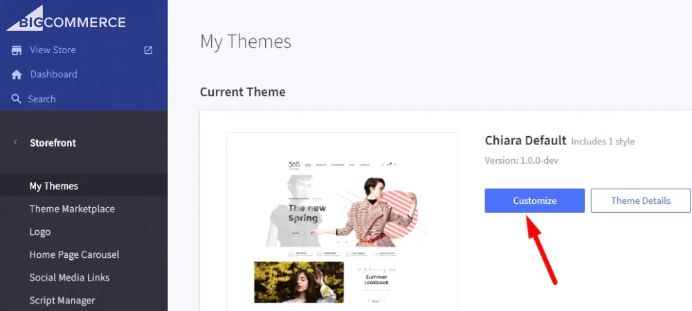 Themes-templates-for-Bigcommerce-multistore
