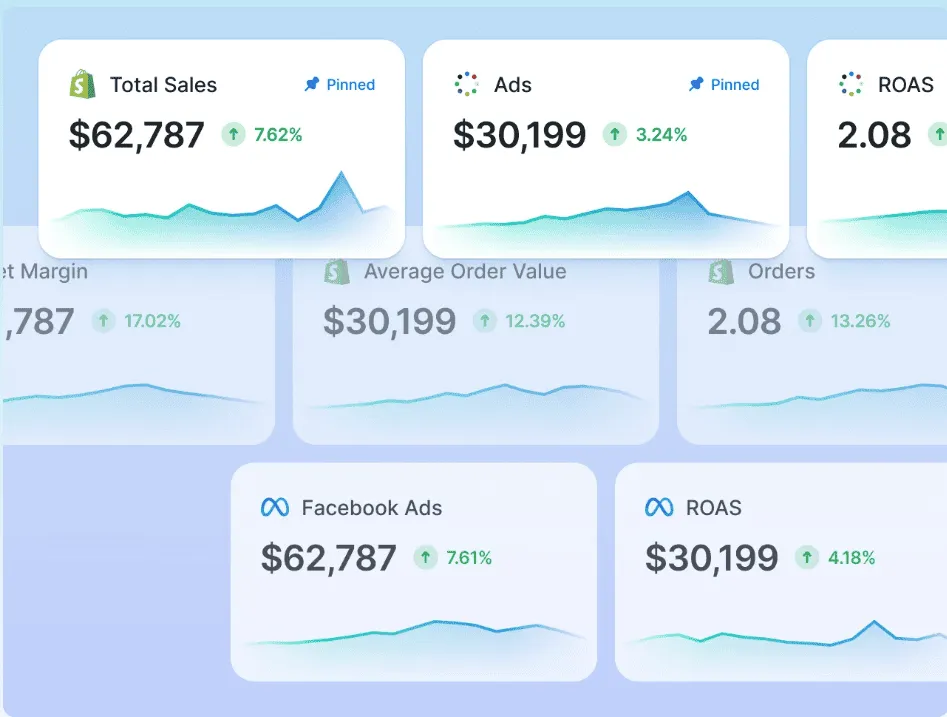 triple whale analytics
