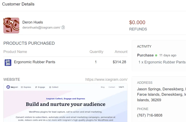 In-depth Customer Profiles - Putler